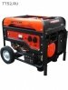 Бензиновый генератор Aurora AGE 7500 D. Большой выбор на сайте Трейдимпорт